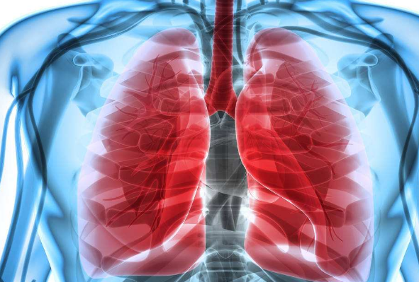 分析：肺健康与养生之关系的全面解读