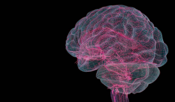 养生从“头”开始：如何避免大脑受到损伤？