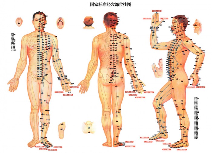 如何通过按摩经络来达到养生的目的?
