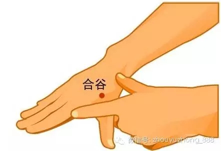 第1章  讲叙人体经络养生文化