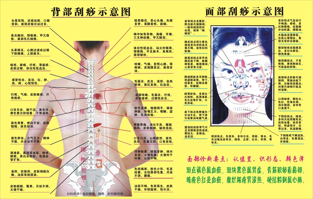 刮痧位置示意图 步骤图片