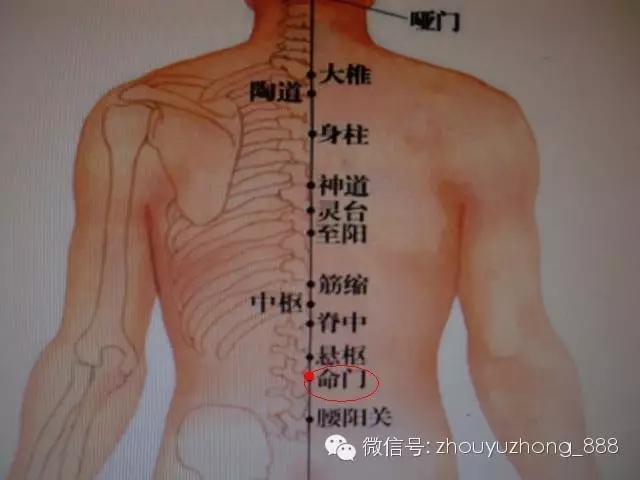 第4章人体经络不如求自己