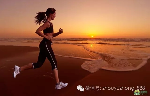 第15章  人体经络舒缓肌肉