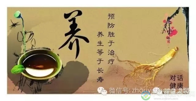 振兴中医还得靠民间