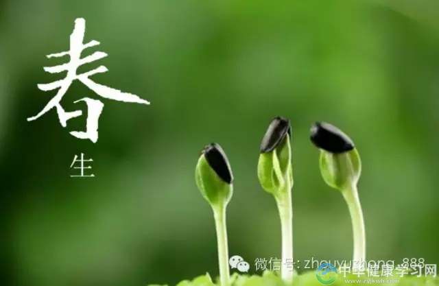 开春养生先办四件事儿