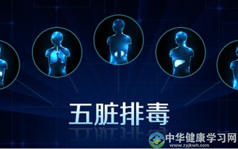 中医养生:五脏最佳排毒时间表公开