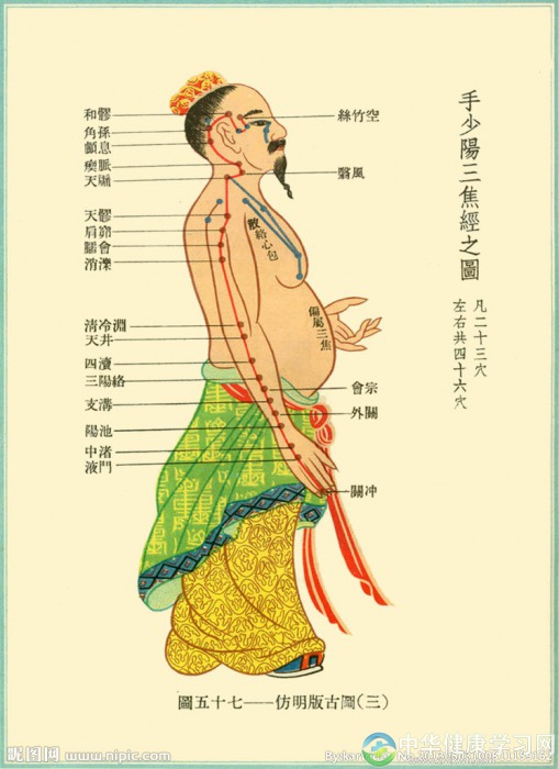 人体经络学到底是什么?