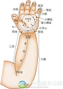 你知道中医穴位瘦身吗？