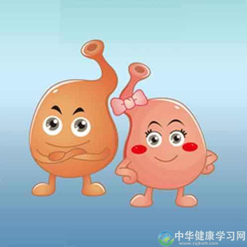 给肠胃减压:哪些运动有益于肠胃健康