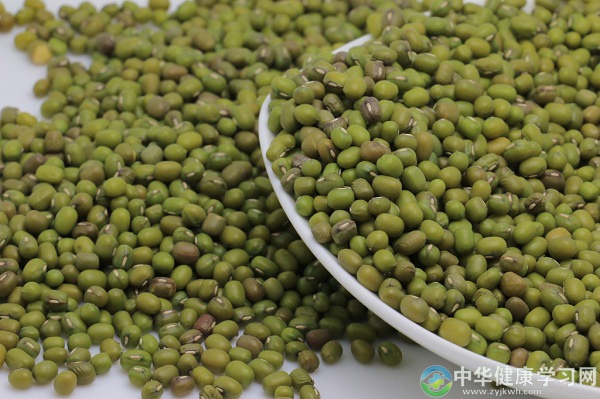 服药的患者能否吃绿豆?