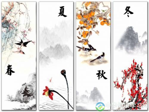 每个季节养生的核心有不同,有什么不同你知道吗?