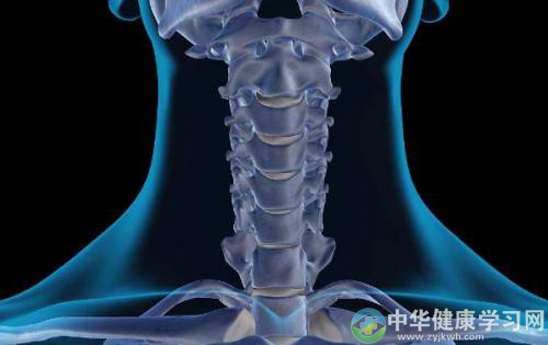 腰椎颈椎脊椎疼?6个小贴士帮您缓解