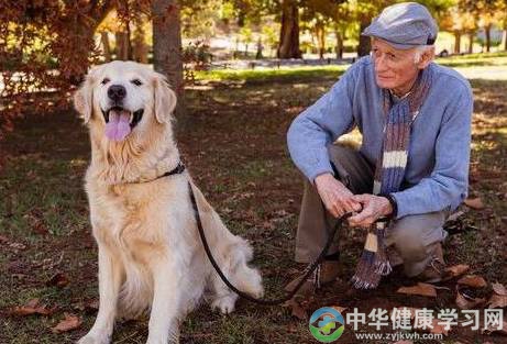 中老年人孤独问题怎么解决?养狗能陪伴吗?
