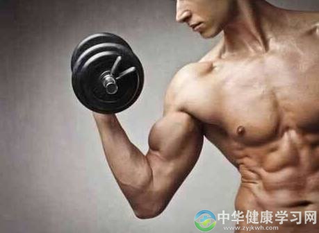 增肌不利于养生吗?健生与养生之间的纠葛