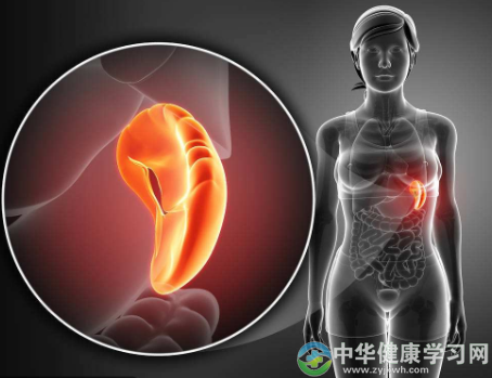 脾虚这样做最有效!脾虚者必看的知识点