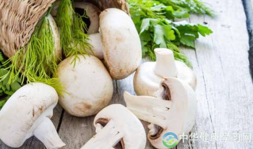 要养生必须要做到这两点:营养均衡、食物多样性
