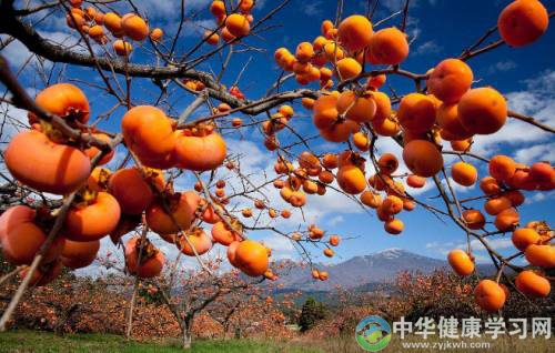 空腹时这些几样东西不能吃!伤胃又伤身!