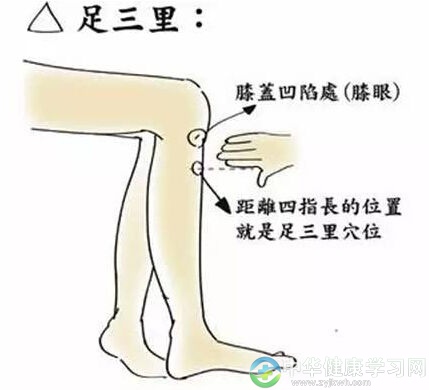 常点足三里,胜食老母鸡
