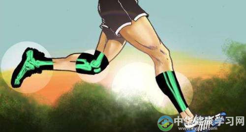 养生之骨骼与运动的关系浅谈