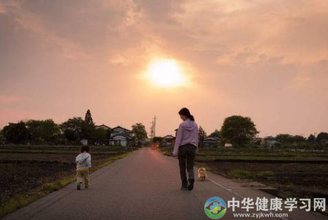 分析:饭后不建议多活动的原因是什么?