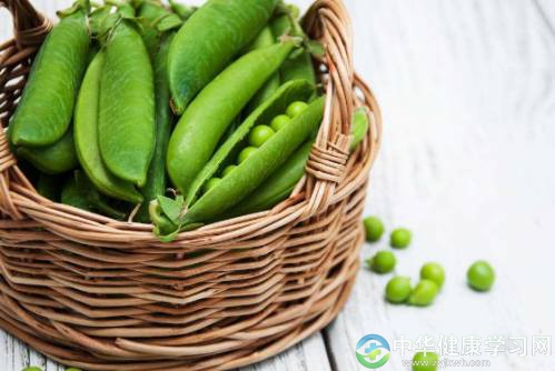 养生必读:素食之保健效果分析
