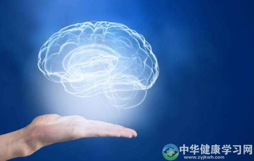 老中青、儿童都需要益脑吗？如何益脑？