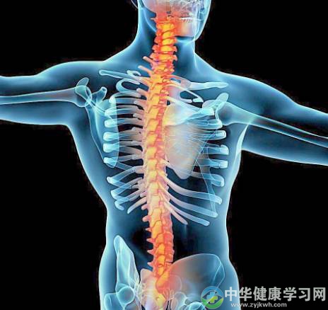 如何对脊椎进行养生?脊椎疾病为何多发?