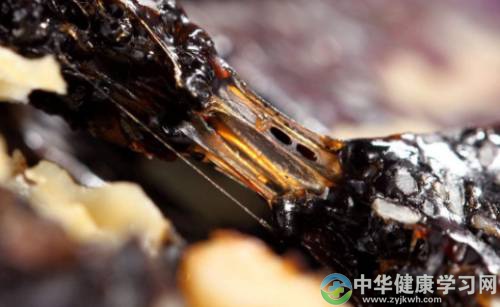 有哪些中药性质的调理品?它们有什么用?