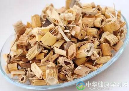 治疗呼吸道疾病，小小芦根显身手