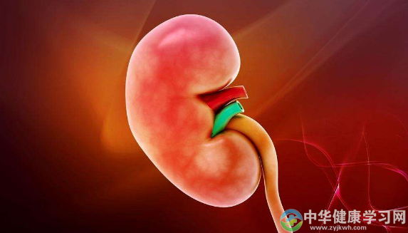 男性夏季养心、提高男性功能的方法浅谈