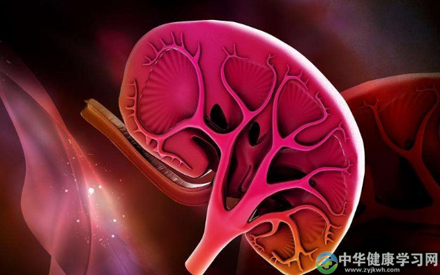 气血两虚之养生与肾阴虚之养生有何不同?