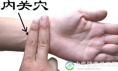 心脏的随身保健医生——内关