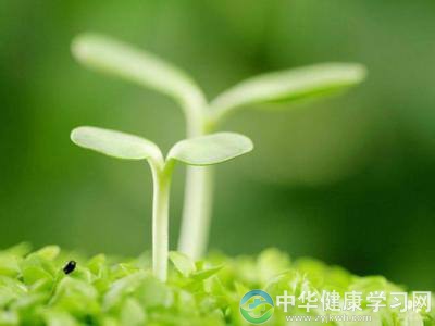 春季养生宝典 