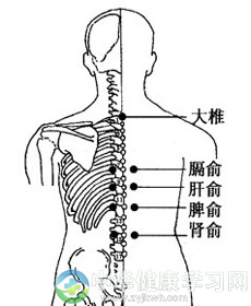 背俞穴诊断很经典