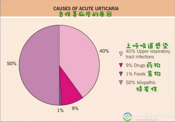 患上荨麻疹该如何治愈呢？